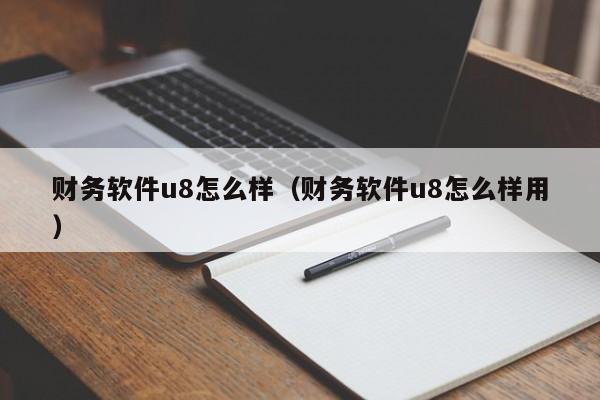 财务软件u8怎么样(财务软件u8怎么样用)
