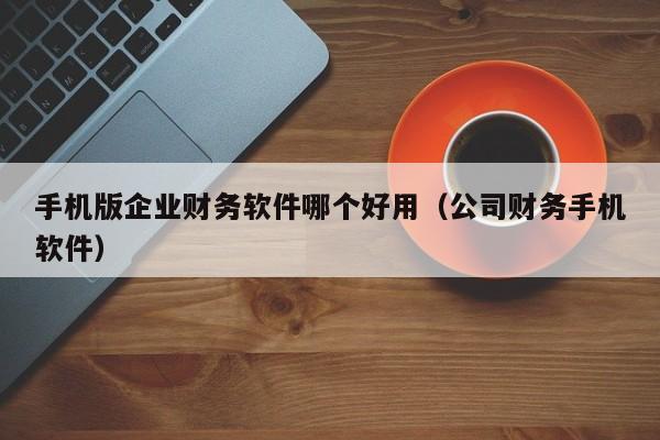 手机版企业财务软件哪个好用(公司财务手机软件)