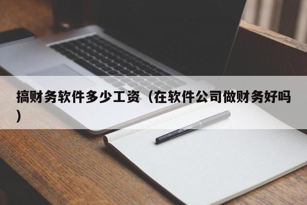 搞财务软件多少工资(在软件公司做财务好吗)