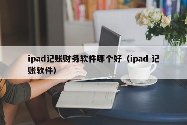 ipad记账财务软件哪个好(ipad 记账软件)