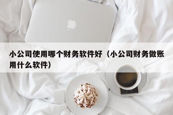 小公司使用哪个财务软件好(小公司财务做账用什么软件)