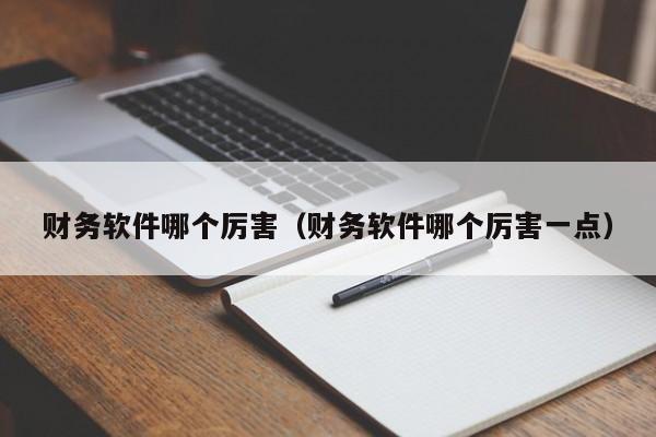 财务软件哪个厉害(财务软件哪个厉害一点)