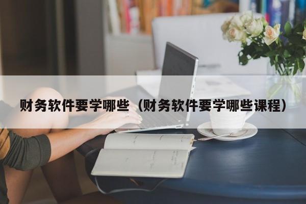 财务软件要学哪些(财务软件要学哪些课程)