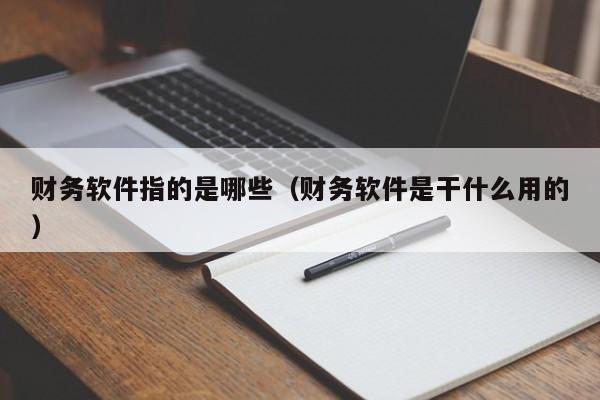 财务软件指的是哪些(财务软件是干什么用的)