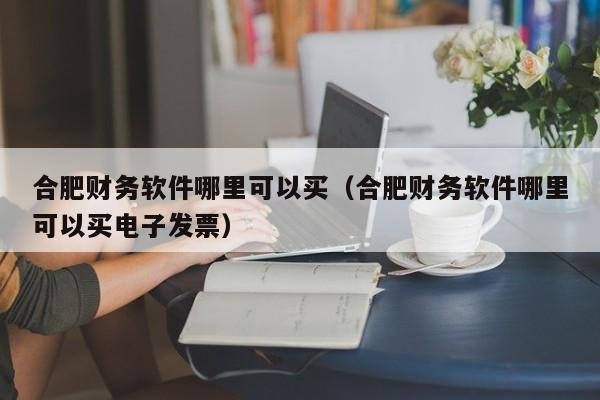 合肥财务软件哪里可以买(合肥财务软件哪里可以买电子发票)