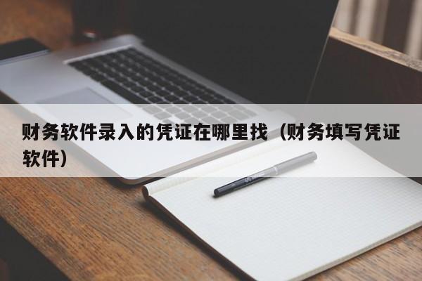 财务软件录入的凭证在哪里找(财务填写凭证软件)