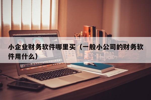小企业财务软件哪里买(一般小公司的财务软件用什么)