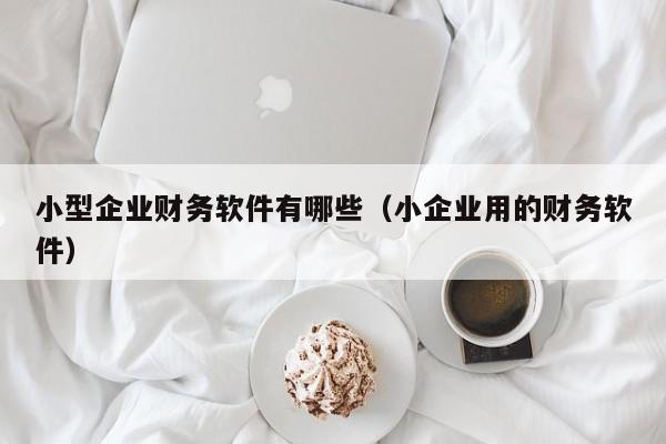 小型企业财务软件有哪些(小企业用的财务软件)