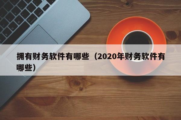 拥有财务软件有哪些(2020年财务软件有哪些)