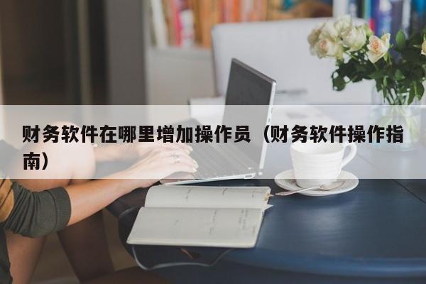财务软件在哪里增加操作员(财务软件操作指南)