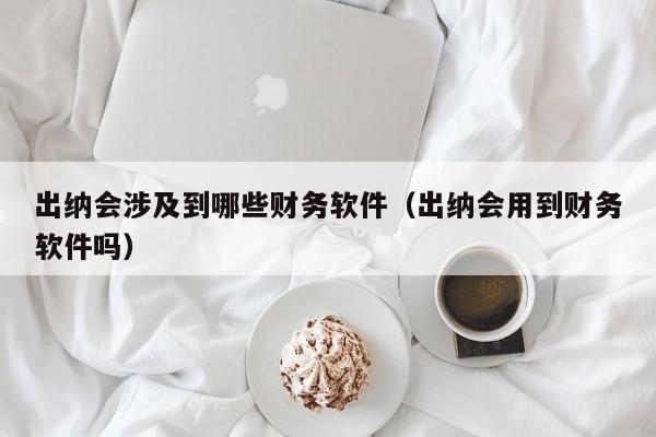 出纳会涉及到哪些财务软件(出纳会用到财务软件吗)