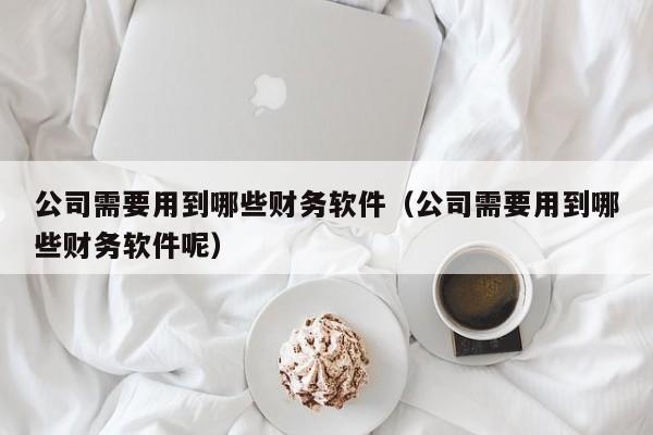 公司需要用到哪些财务软件(公司需要用到哪些财务软件呢)