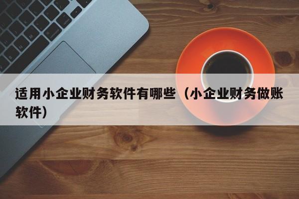 适用小企业财务软件有哪些(小企业财务做账软件)