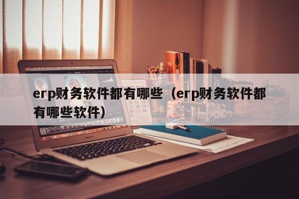 erp财务软件都有哪些(erp财务软件都有哪些软件)