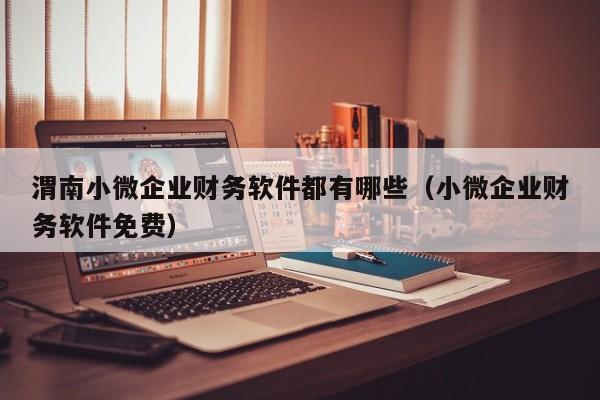 渭南小微企业财务软件都有哪些(小微企业财务软件免费)