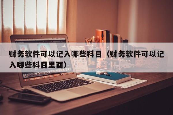 财务软件可以记入哪些科目(财务软件可以记入哪些科目里面)