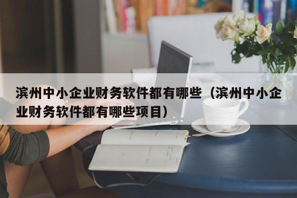 滨州中小企业财务软件都有哪些(滨州中小企业财务软件都有哪些项目)