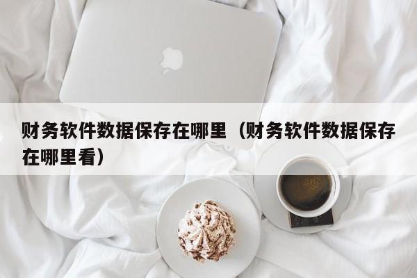 财务软件数据保存在哪里(财务软件数据保存在哪里看)