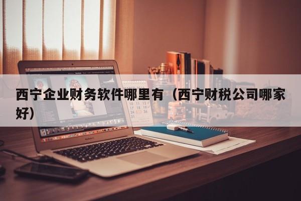 西宁企业财务软件哪里有(西宁财税公司哪家好)