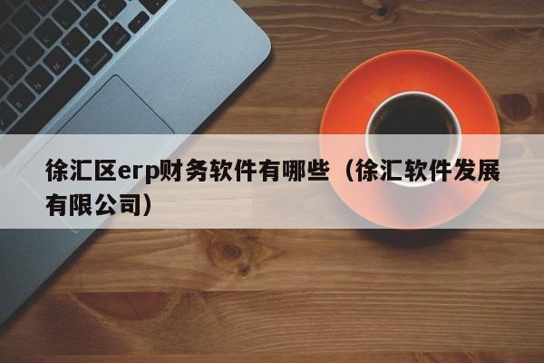 徐汇区erp财务软件有哪些(徐汇软件发展有限公司)