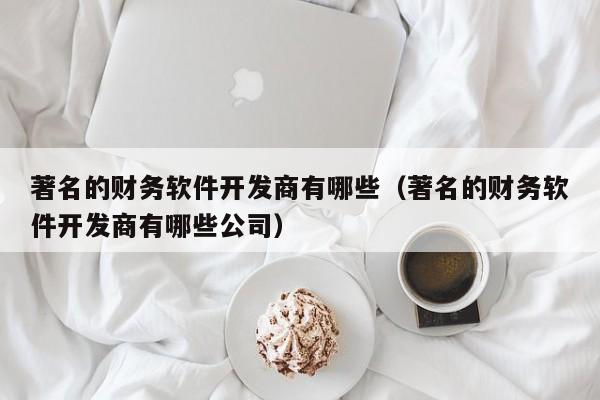 著名的财务软件开发商有哪些(著名的财务软件开发商有哪些公司)