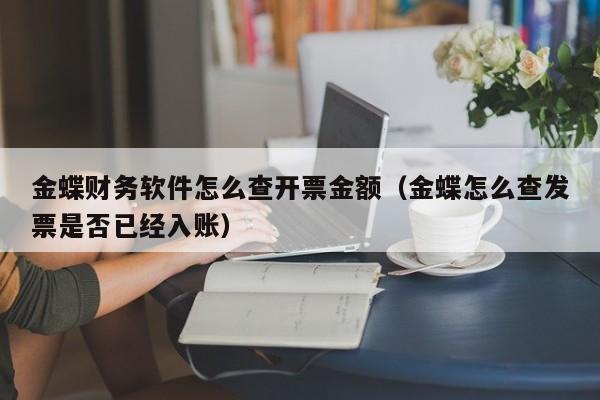金蝶财务软件怎么查开票金额(金蝶怎么查发票是否已经入账)