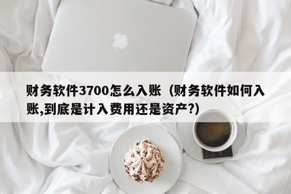 财务软件3700怎么入账(财务软件如何入账,到底是计入费用还是资产?)