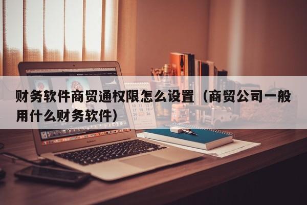 财务软件商贸通权限怎么设置(商贸公司一般用什么财务软件)