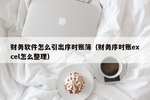 财务软件怎么引出序时账簿(财务序时账excel怎么整理)