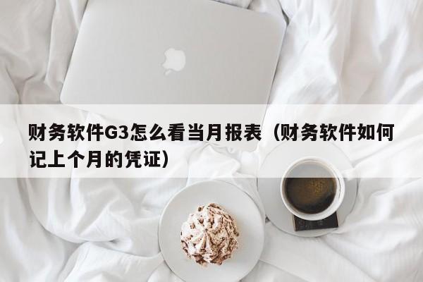 财务软件G3怎么看当月报表(财务软件如何记上个月的凭证)