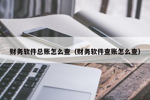 财务软件总账怎么查(财务软件查账怎么查)
