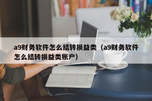 a9财务软件怎么结转损益类(a9财务软件怎么结转损益类账户)