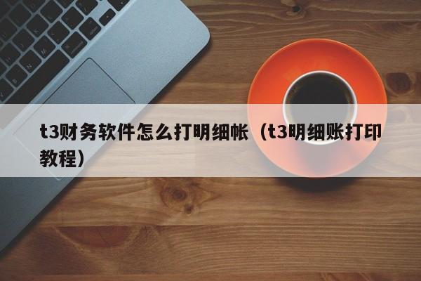 t3财务软件怎么打明细帐(t3明细账打印教程)