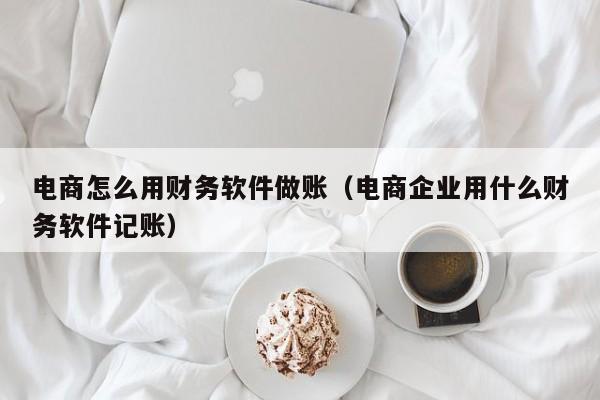 电商怎么用财务软件做账(电商企业用什么财务软件记账)