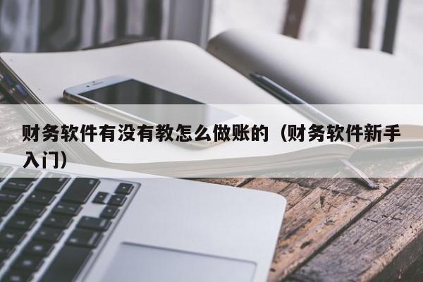 财务软件有没有教怎么做账的(财务软件新手入门)