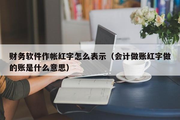 财务软件作帐红字怎么表示(会计做账红字做的账是什么意思)