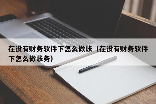 在没有财务软件下怎么做账(在没有财务软件下怎么做账务)