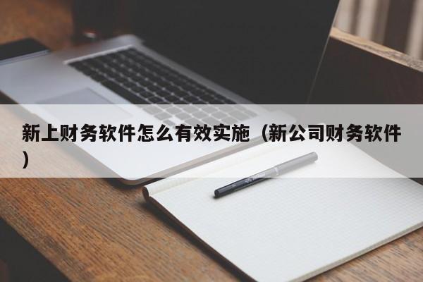 新上财务软件怎么有效实施(新公司财务软件)