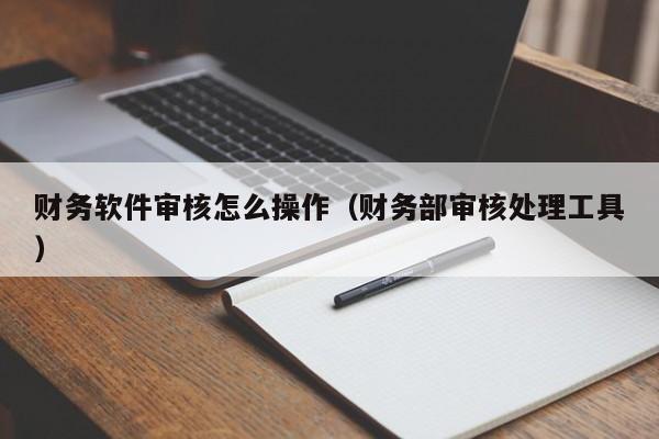 财务软件审核怎么操作(财务部审核处理工具)