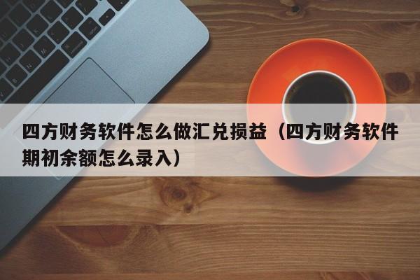 四方财务软件怎么做汇兑损益(四方财务软件期初余额怎么录入)