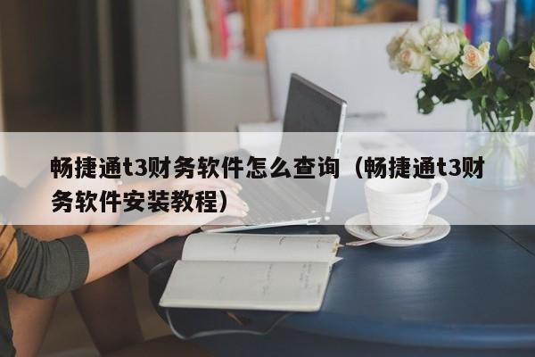 畅捷通t3财务软件怎么查询(畅捷通t3财务软件安装教程)