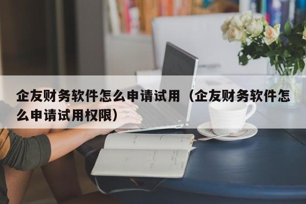 企友财务软件怎么申请试用(企友财务软件怎么申请试用权限)