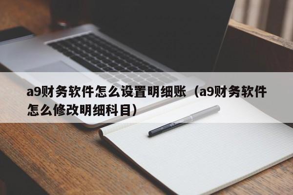 a9财务软件怎么设置明细账(a9财务软件怎么修改明细科目)