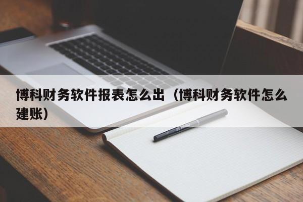 博科财务软件报表怎么出(博科财务软件怎么建账)