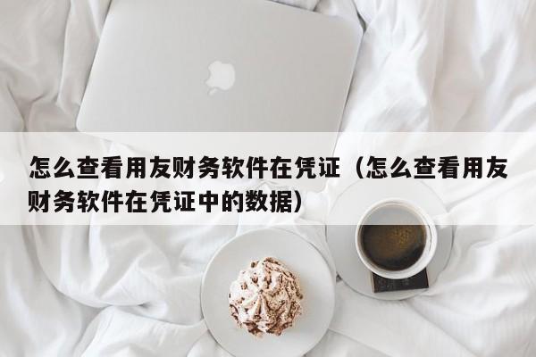怎么查看用友财务软件在凭证(怎么查看用友财务软件在凭证中的数据)