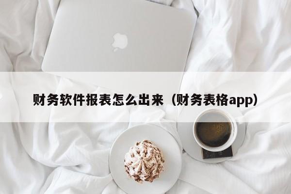 财务软件报表怎么出来(财务表格app)