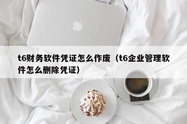 t6财务软件凭证怎么作废(t6企业管理软件怎么删除凭证)