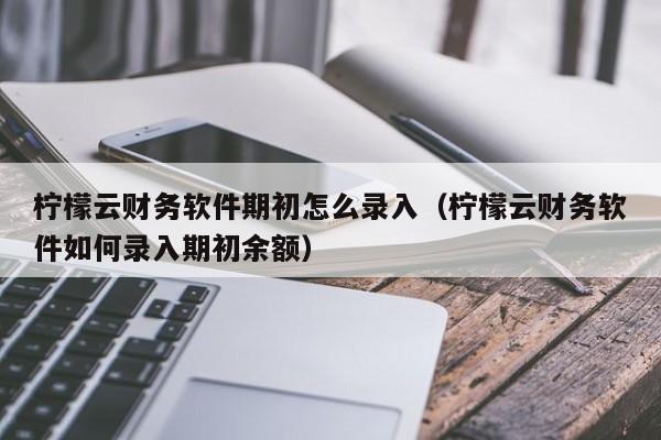 柠檬云财务软件期初怎么录入(柠檬云财务软件如何录入期初余额)