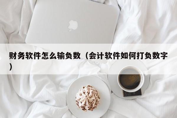财务软件怎么输负数(会计软件如何打负数字)