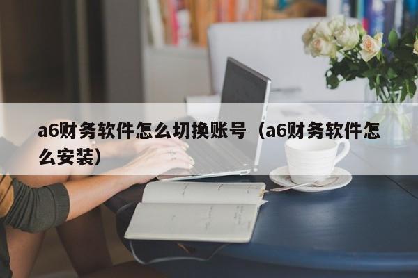 a6财务软件怎么切换账号(a6财务软件怎么安装)